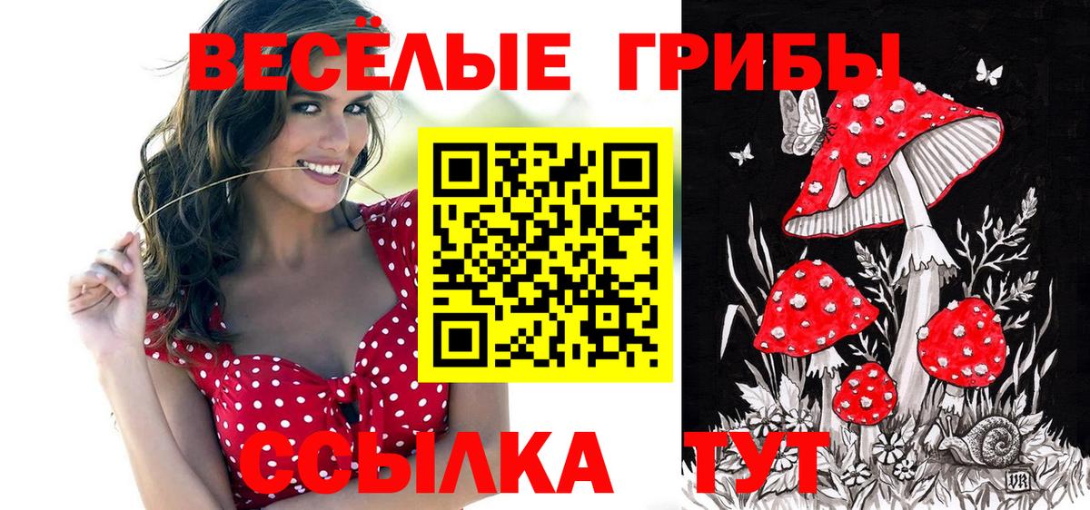 A PVP Карталы
