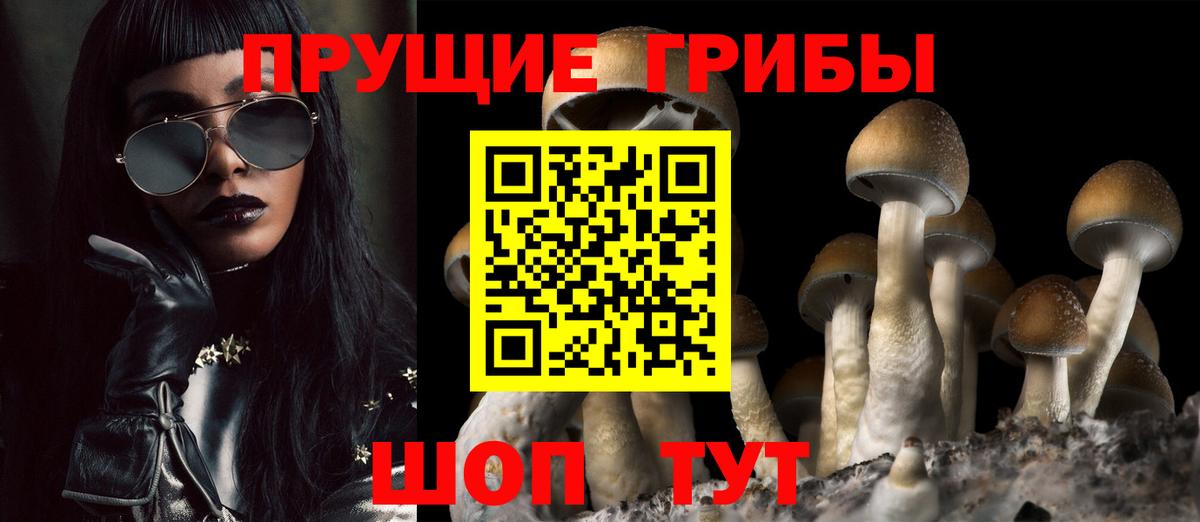 Псилоцибиновые грибы Psilocybe Карталы